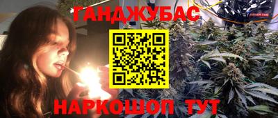 прущие грибы Гатчина