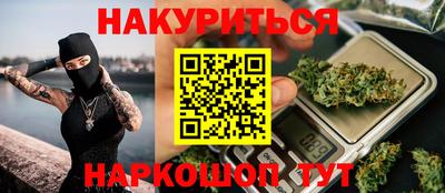 прущие грибы Гатчина
