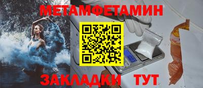 прущие грибы Гатчина