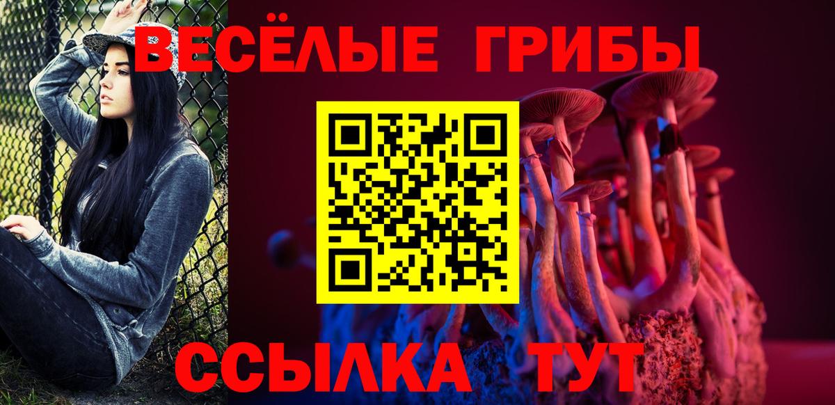 Новошахтинск  Псилоцибиновые грибы ЛСД  Вход с VPN 