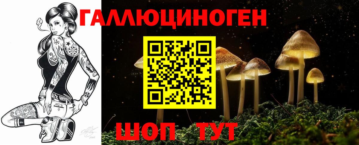 Псилоцибиновые грибы ЛСД Новошахтинск